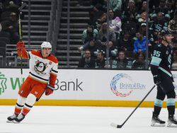 Ducks Kraken Hockey