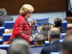 Парламент - заседание