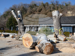 Снимка: Община Варна