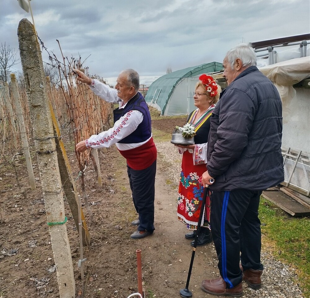 Община Стара Загора: Ароматно вино ще се лее в старозагорското село Оряховица на Трифон Зарезан