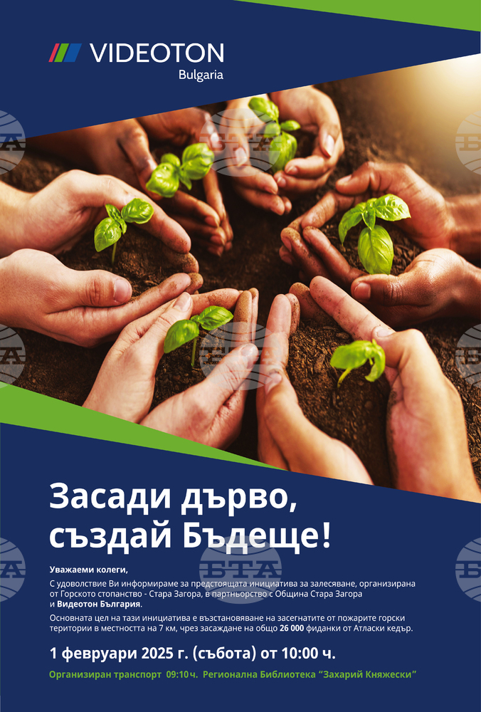 Videoton Bulgaria Joins Afforestation Initiative in Stara Zagora