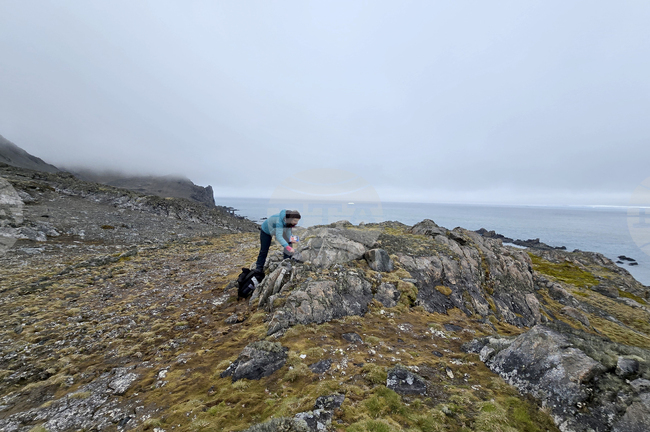 Антарктида - остров Ливингстън - залив Сали рокс - вземане на проби