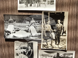 Ловеч - Държавен архив - дарение