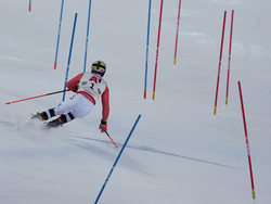 Austria Alpine Skiing World Cup