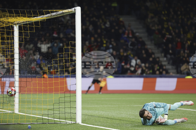 Цървена звезда победи Лил в мач от Лига Европа