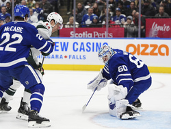 Wild Maple Leafs Hockey