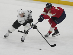 Kings Panthers Hockey