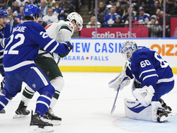 Wild Maple Leafs Hockey