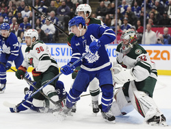 Wild Maple Leafs Hockey