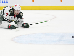 Wild Maple Leafs Hockey