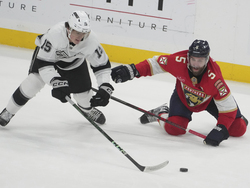 Kings Panthers Hockey