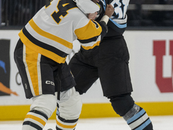 Penguins Utah Hockey