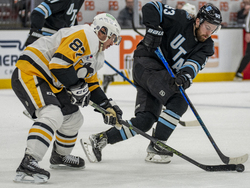 Penguins Utah Hockey