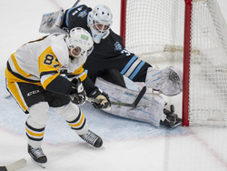 Penguins Utah Hockey