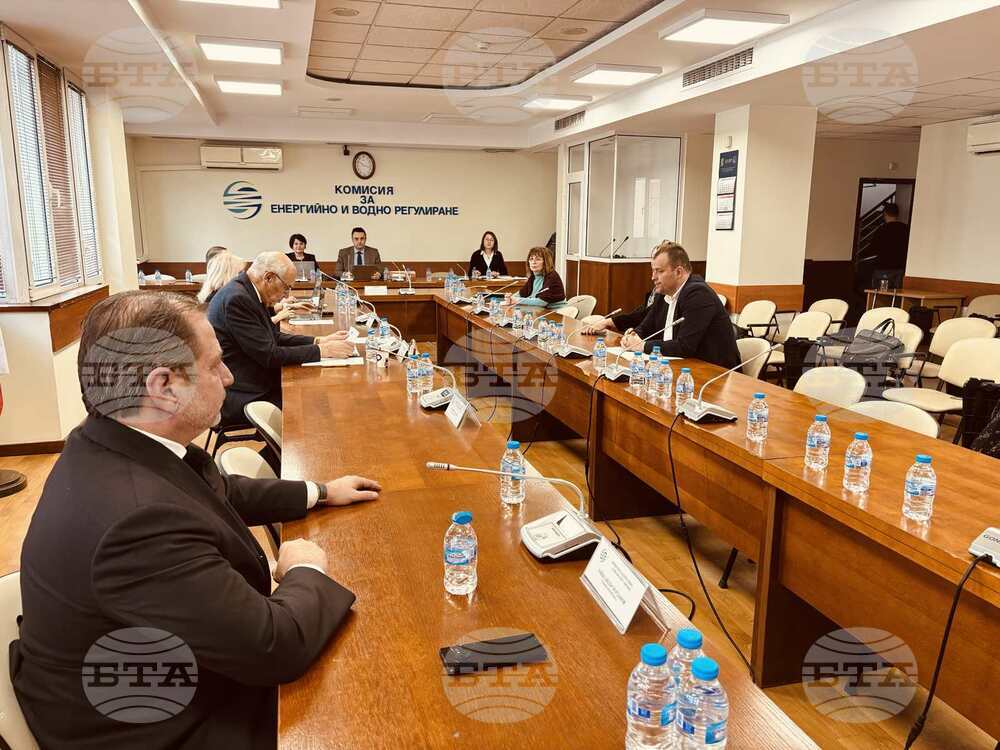 Поскъпването на природния газ през февруари няма да надвиши 3 процента, увери изпълнителният директор на "Булгаргаз"