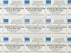 Снимка: Община Видин