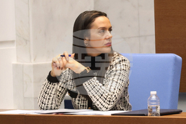 Парламент - заседание