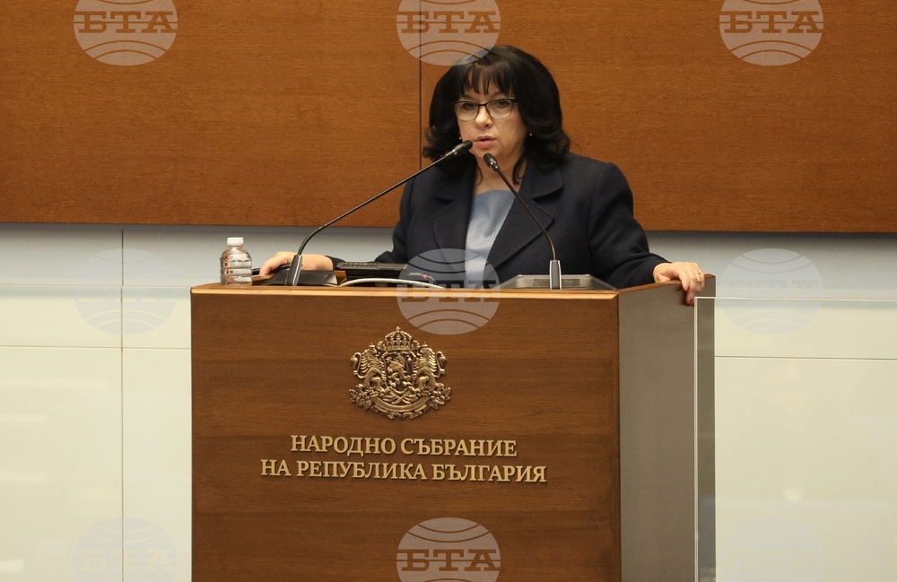 През последните 3 г. публичните финанси са управлявани неразумно, ще трябва да разочаровам оптимистите, каза финансовият министър Теменужка Петкова