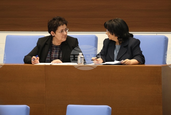 Не се предвиждат съкращения и промяна на статута на този етап на НАП и "Агенция Митници", каза финансовият министър 