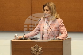 Парламент - заседание