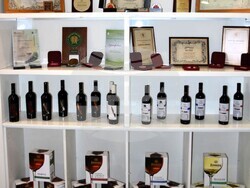 Снимка: Община Асеновград