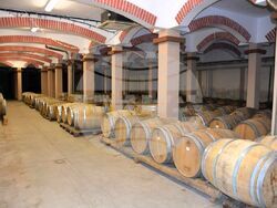 Снимка: Община Асеновград