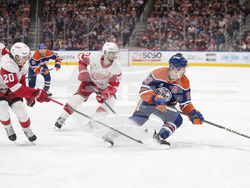 Red Wings Oilers Hockey