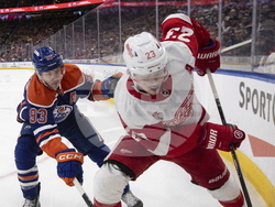 Red Wings Oilers Hockey
