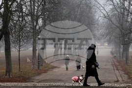 Столица - ежедневие - мъгла