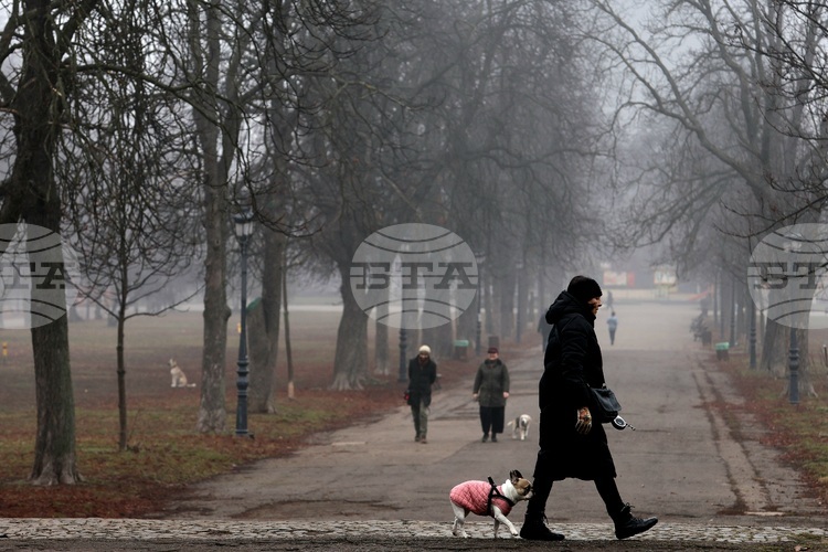 Bulgaria, Hungary Rank Lowest in EU for Households' Material Well-Being in 2024