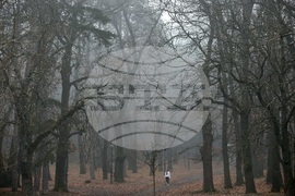 Столица - ежедневие - мъгла