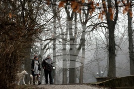 Столица - ежедневие - мъгла