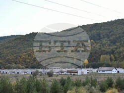 Сърбия - Село Радичевци