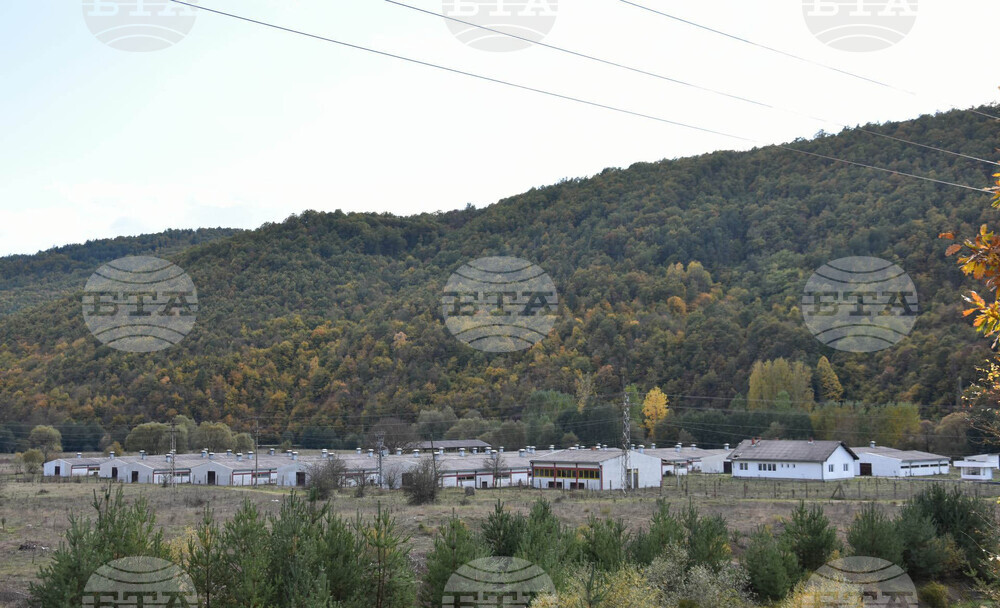 Сърбия - Село Радичевци