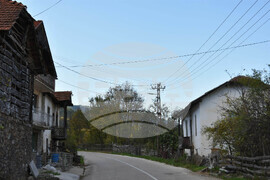 Сърбия - Село Радичевци