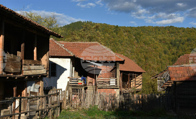 Сърбия - Село Радичевци