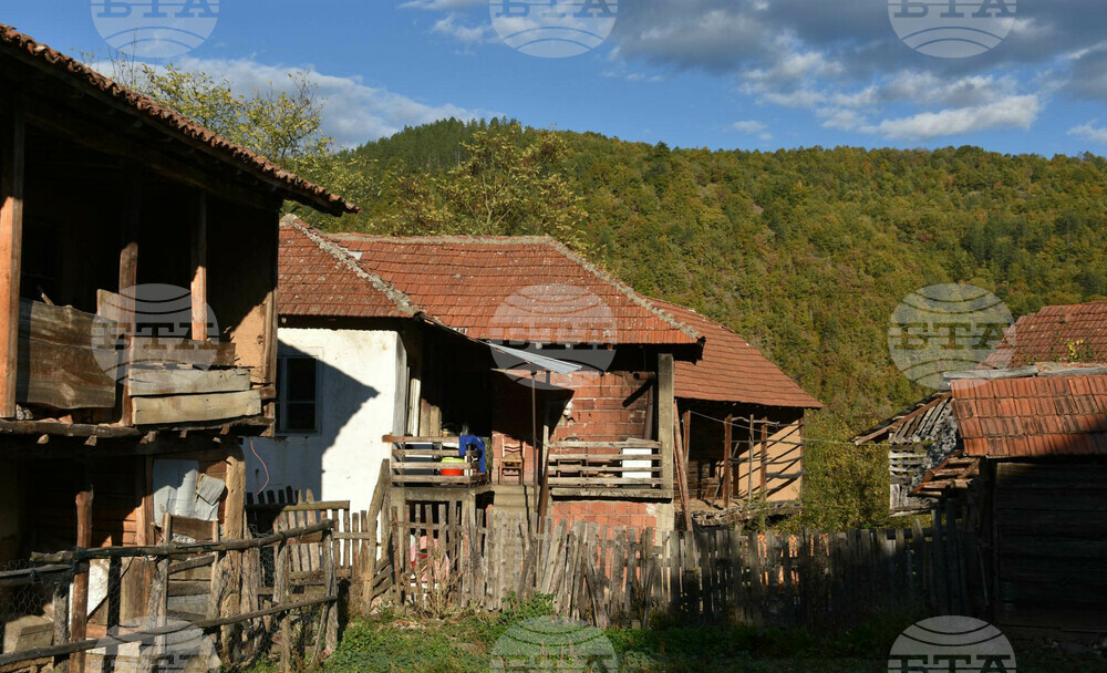Сърбия - Село Радичевци