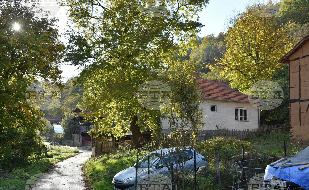Сърбия - Село Радичевци