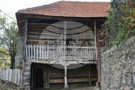 Сърбия - Село Радичевци