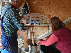 Сърбия - Село Радичевци