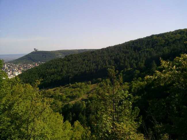 Дирекцията на Природния парк „Шуменско плато“ ще отбележи през февруари 45 години от обявяването на платото за защитената територия