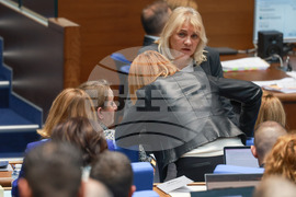 Парламент - заседание