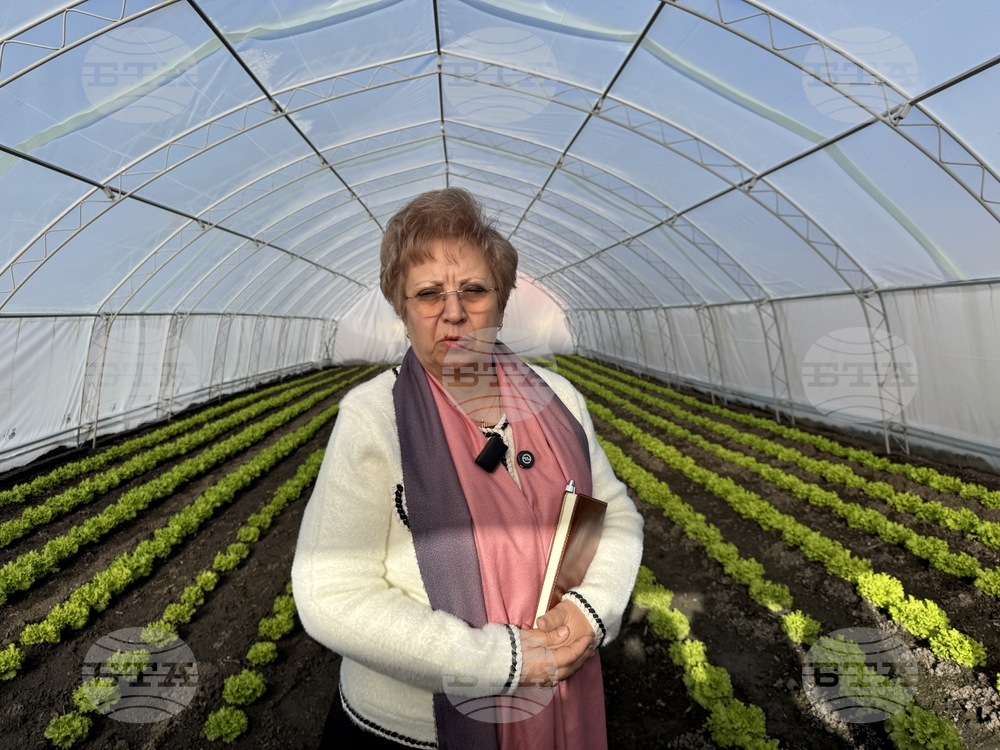 Община Казанлък отглежда екологично чисти зеленчуци за нуждите на детската млечна кухня