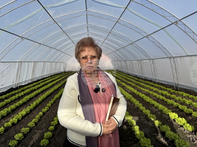 Община Казанлък отглежда екологично чисти зеленчуци за нуждите на детската млечна кухня