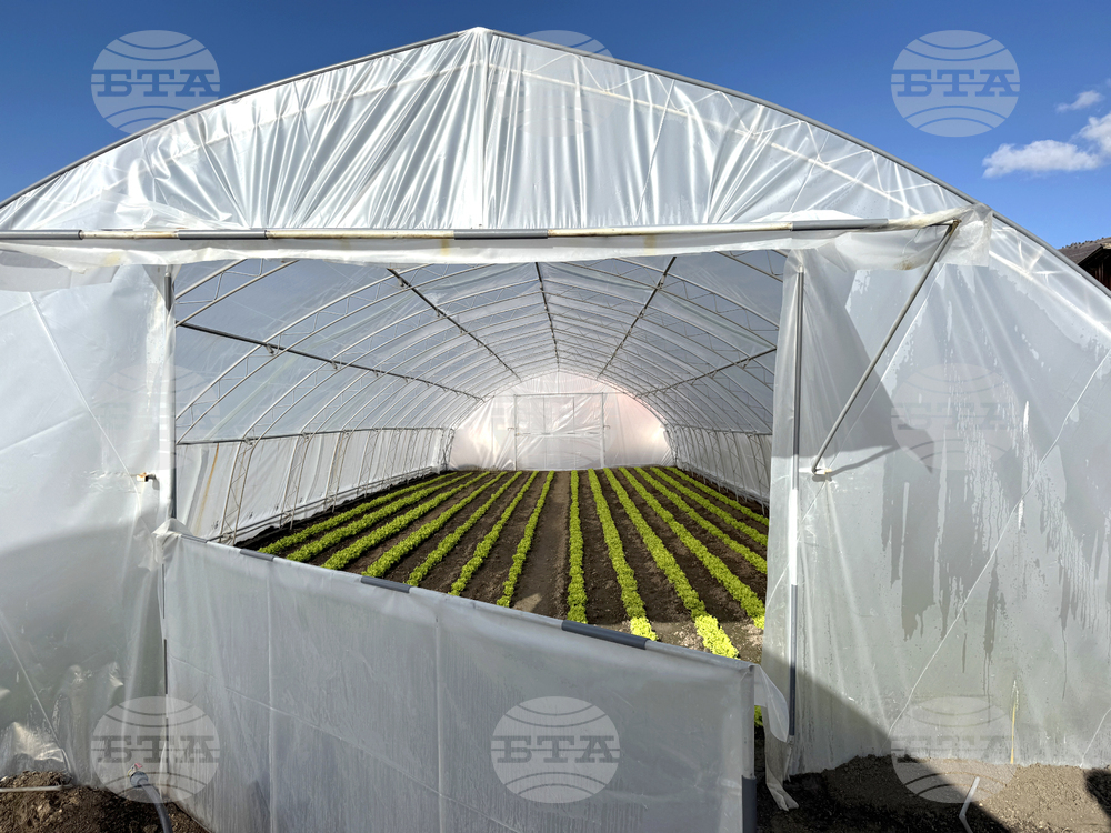 Нови технологии и иновации в оранжерийното производство ще бъдат представени в рамките на демо ден в център в Пловдив 