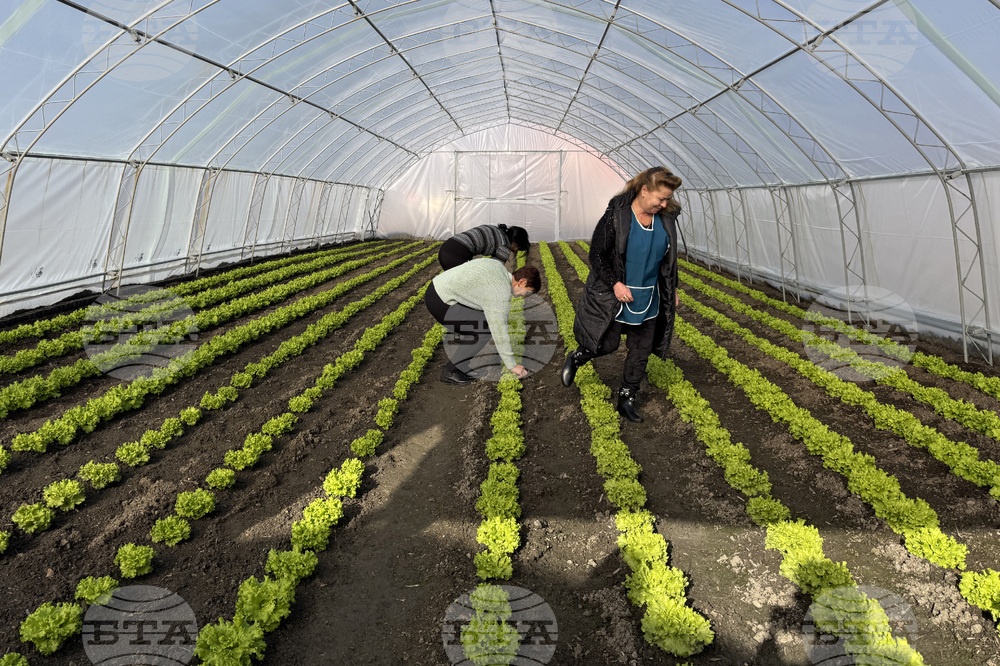 Strong Winds Destroy Municipal Greenhouses in Kazanlak