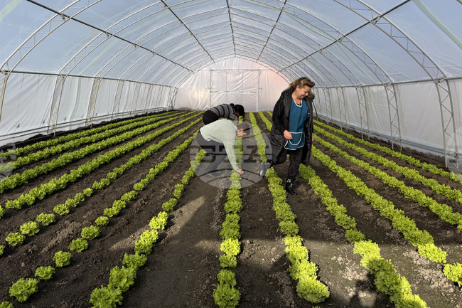 Strong Winds Destroy Municipal Greenhouses in Kazanlak