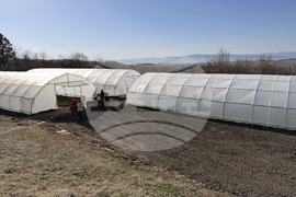 Долно Изворово - оранжерия - зеленчуци