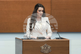 Парламент - заседание