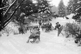 Зима в София